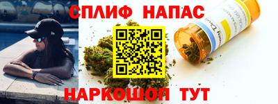 прущие грибы Обь
