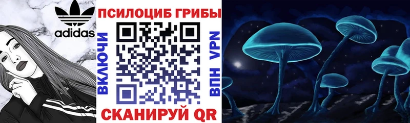 Псилоцибиновые грибы Psilocybine cubensis  Дальнереченск 