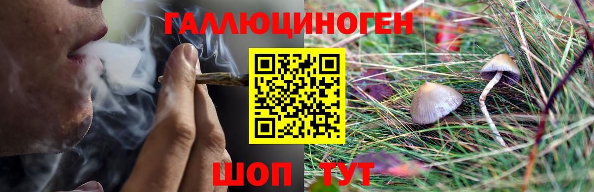 Псилоцибиновые грибы ЛСД Дальнереченск