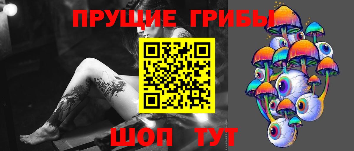 Псилоцибиновые грибы ЛСД  Псилоцибиновые грибы Psilocybe  Дальнереченск  Вход с VPN 